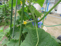 IMG_5958